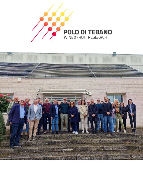 Immagine news sito polo (2)